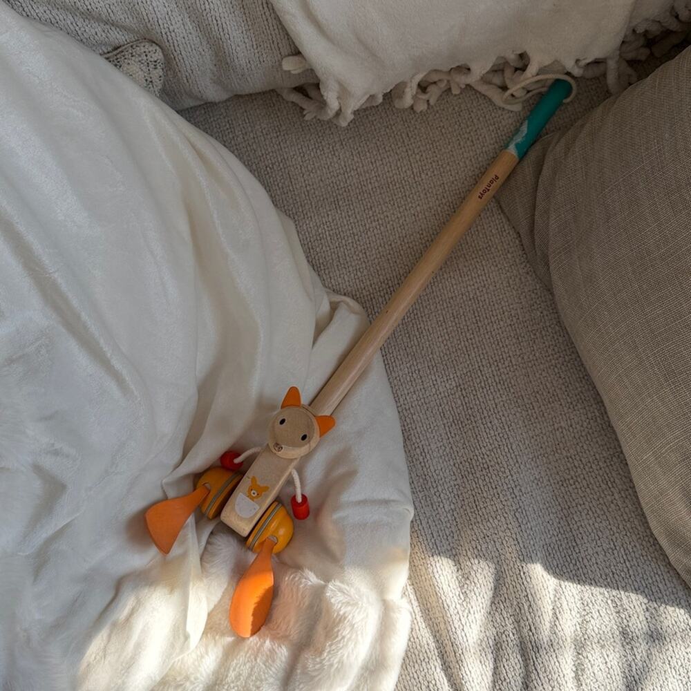 PLAN TOYS Push Toy for Toddlers | Montessori Wooden Toys